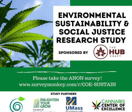 Complete the Environmental Sustainability and Social Justice Survey Already!