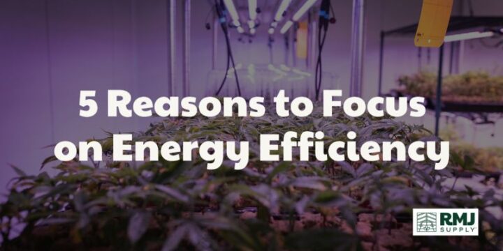Five Reasons Smart Growers are Focusing on Energy Efficiency