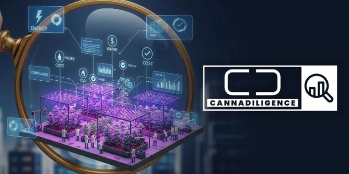 CannaDiligence: Bringing Clarity and Insights to Cannabis Cultivation